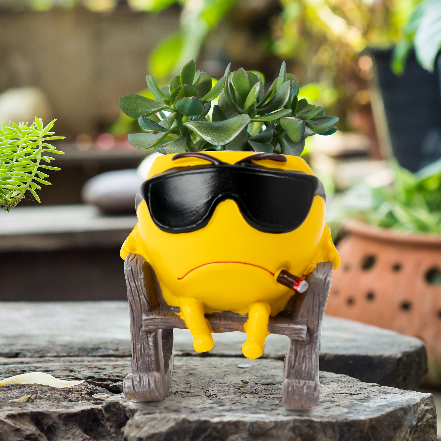plant pots